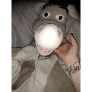 SHREK DONKEY CHILD ONE PC SLEEPWEAR